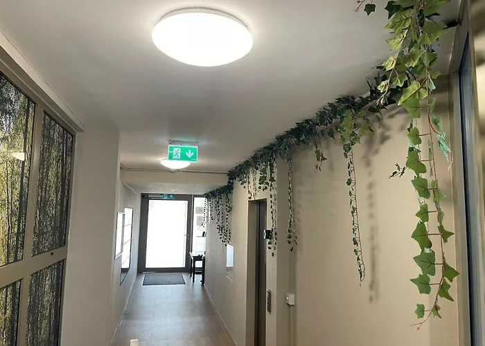Nest Natur Hostel