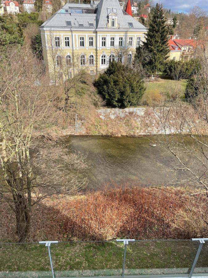 Nest Viena