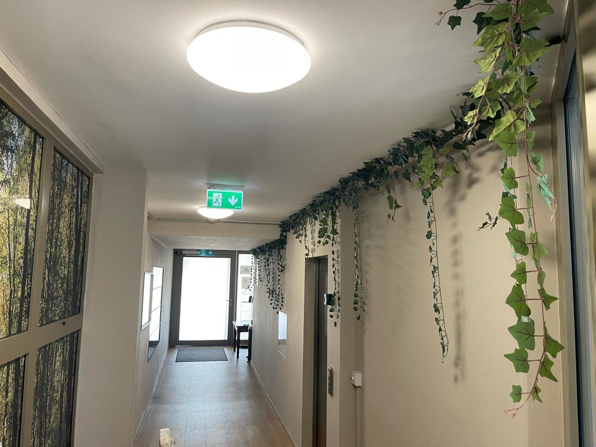 Hostal Nest Viena